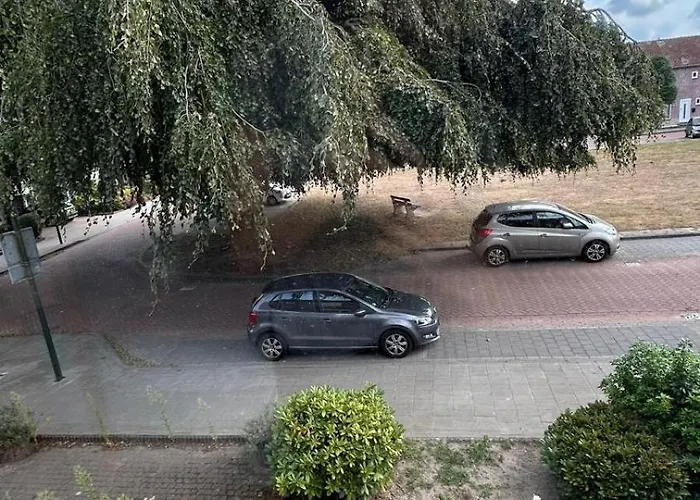 Entire Villa, Free Breakfast, Free Parking Veldhoven